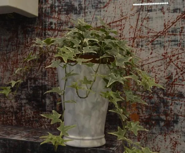 فيلة Eifel Kate, Relaxen Mit Sauna Und Whirlpool